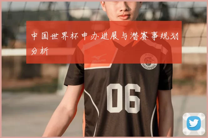 中国世界杯申办进展与潜赛事规划分析