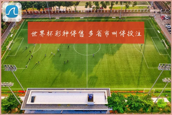 世界杯彩种停售 多省市叫停投注