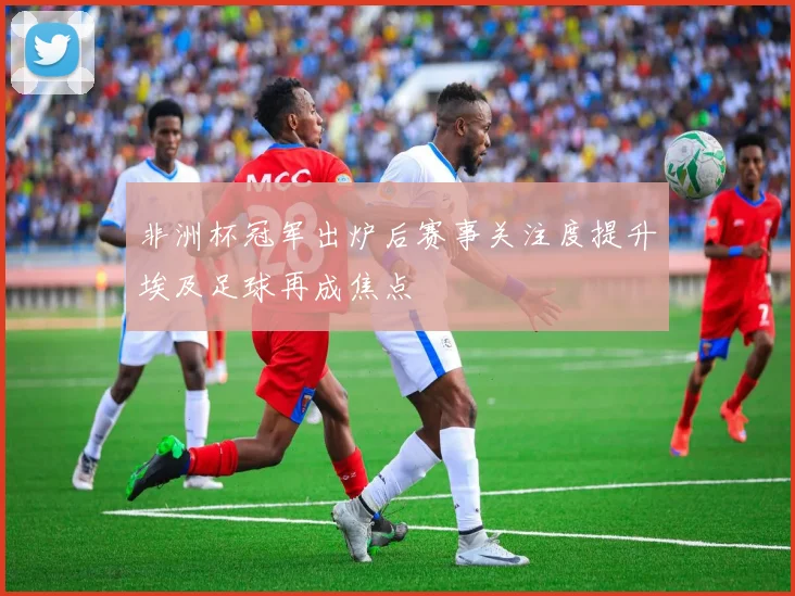 非洲杯冠军出炉后赛事关注度提升埃及足球再成焦点