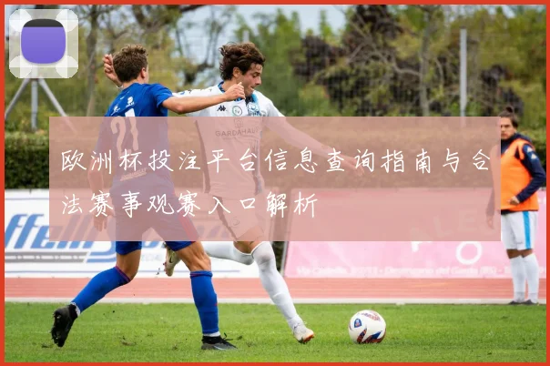 欧洲杯投注平台信息查询指南与合法赛事观赛入口解析